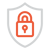 Bullet Icons_Secure_GrayOrange